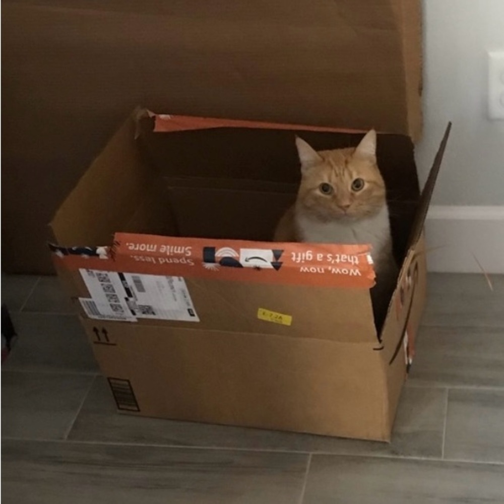 Additional shipping label 5lbs